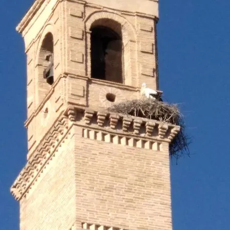 Borja Borja